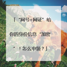“网号+网证”给你的身份信息“加密”！怎么申领？
